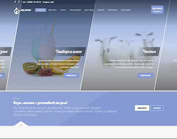 Сайт визитка dr-moloko.ru